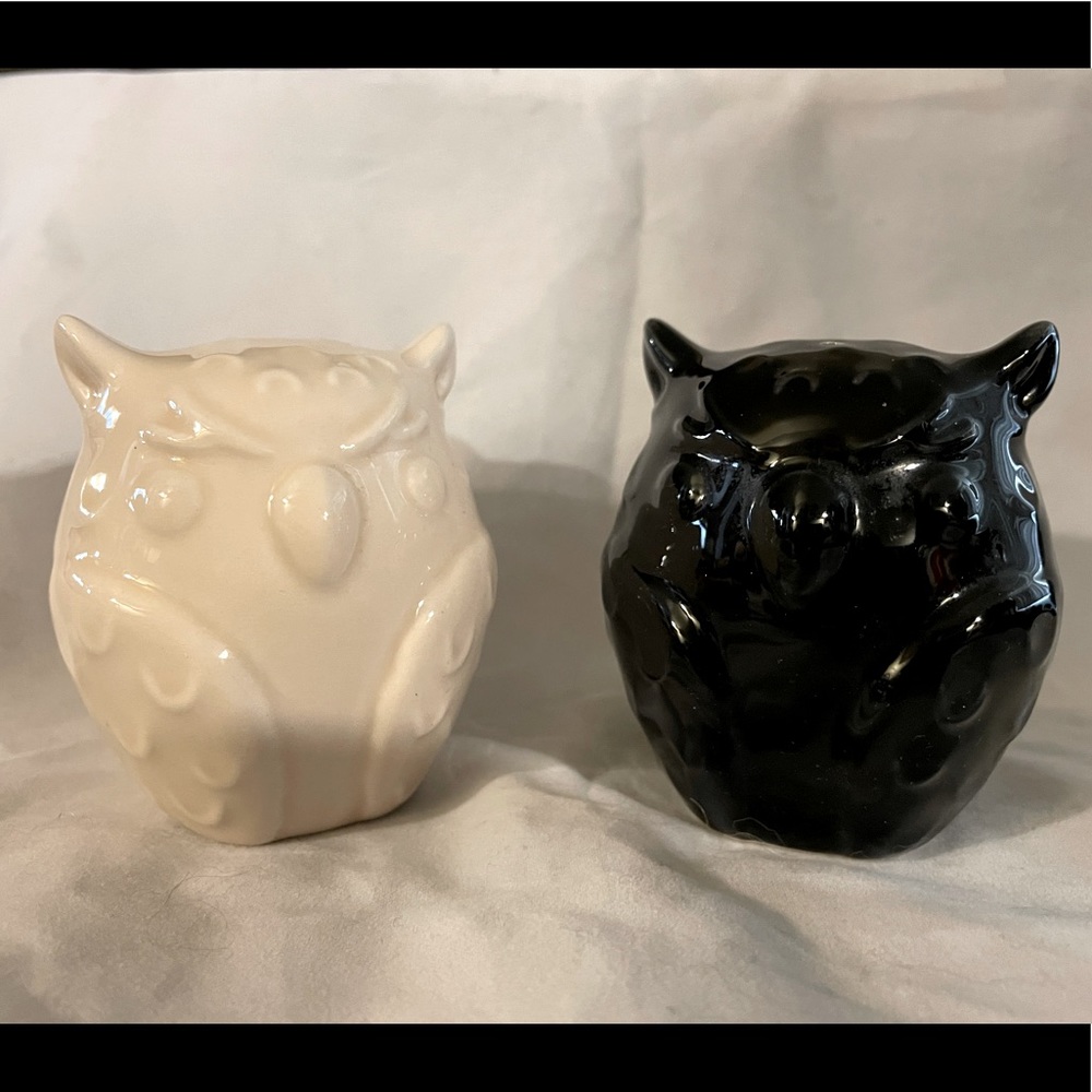 Black & White Ceramic Owls Salt & Pepper Shakers